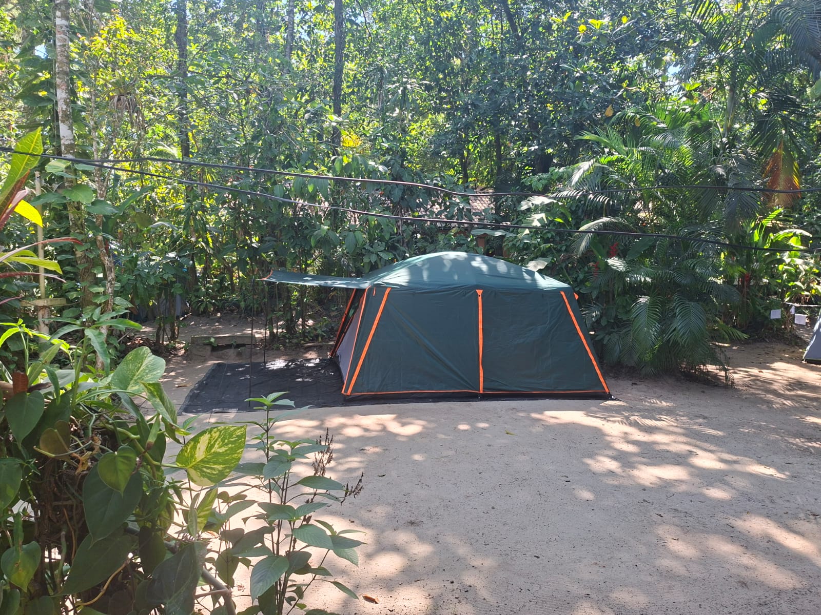 camping